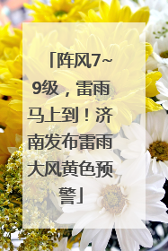 阵风7~9级，雷雨马上到！济南发布雷雨大风黄色预警